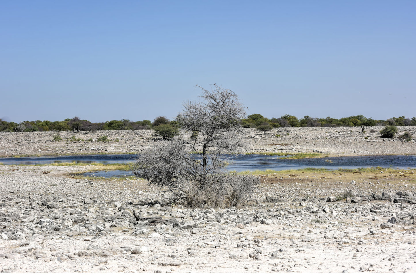 Kalahari Wüstensalz fein