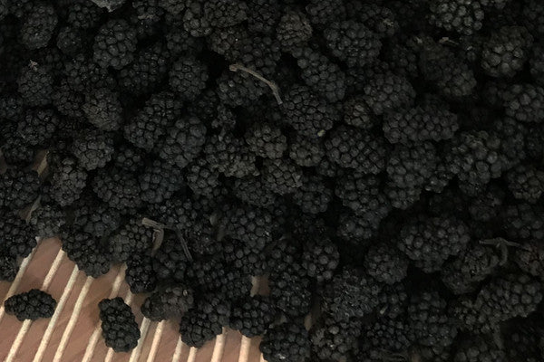 Assam Pfeffer aus Wildwuchs