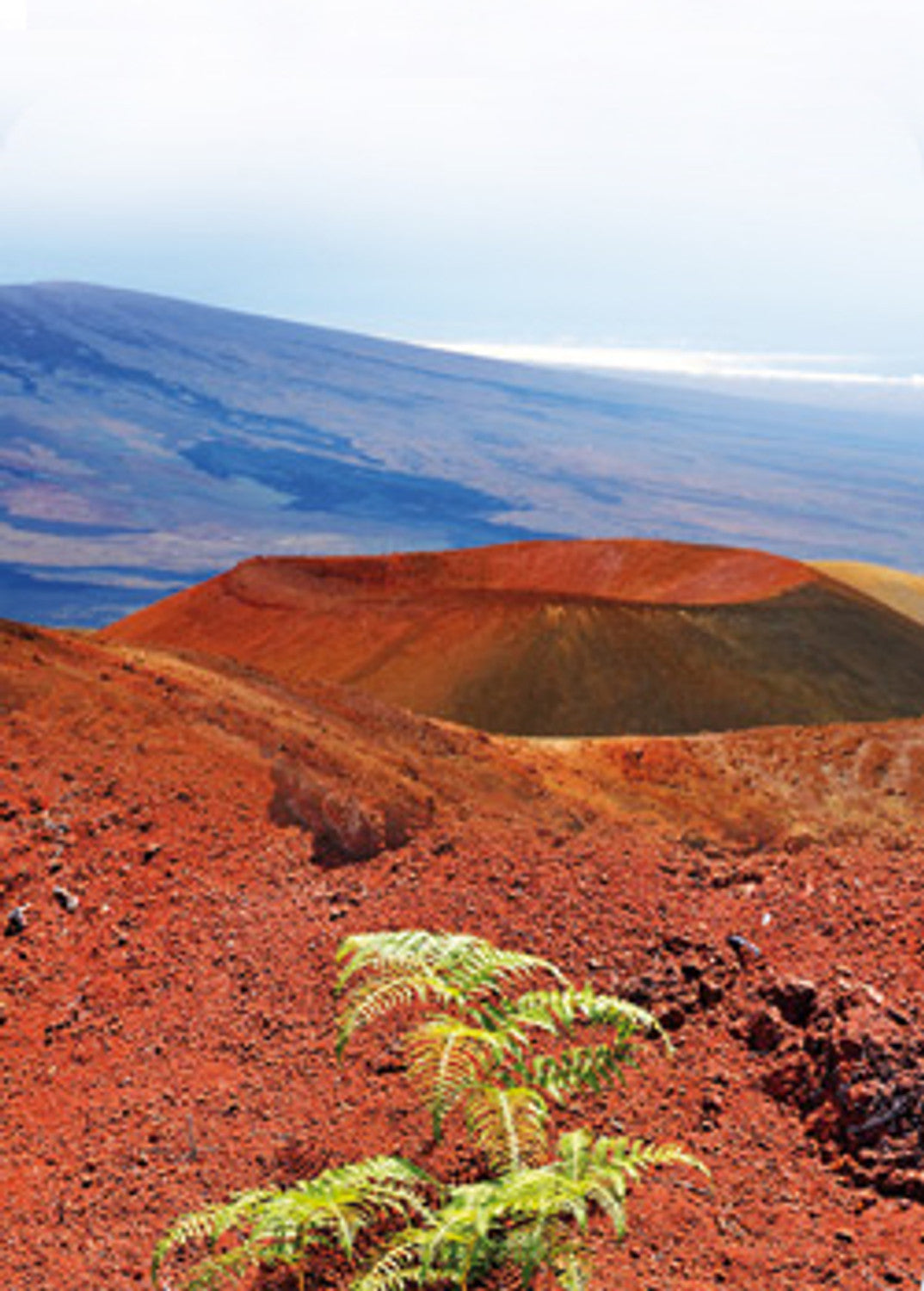 rotes Hawaii Salz - Alaea Red Gold