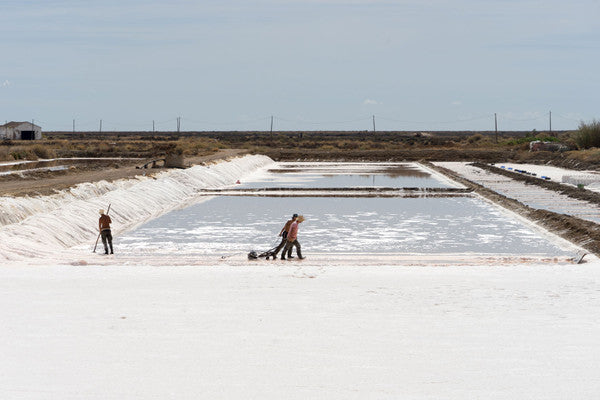 Flor de Sal aus der Algarve