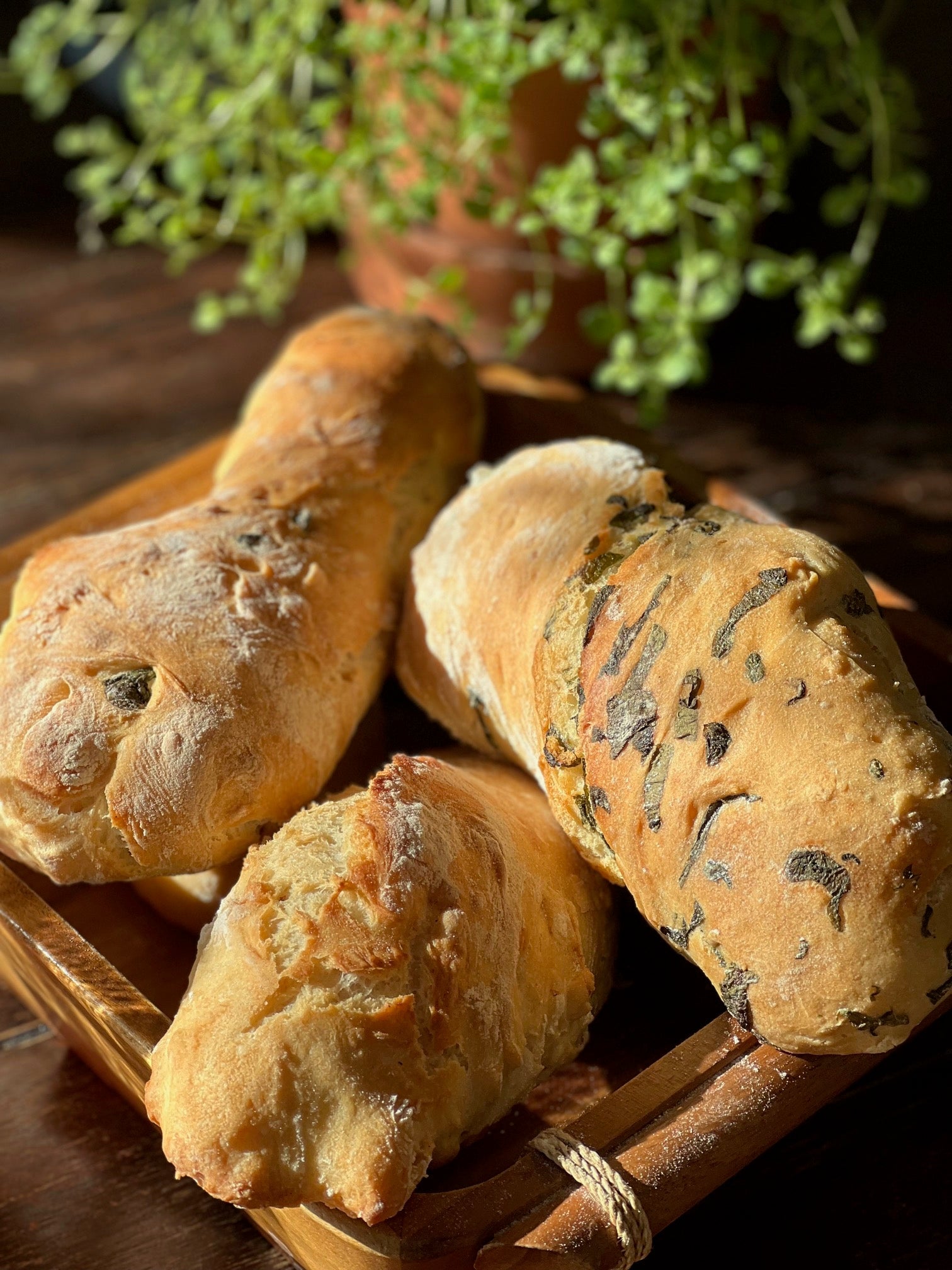 Ciabatta – Pfefferbraut Ciabatta – Pfefferbraut